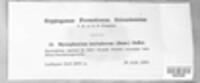 Image Associated With the Occurence